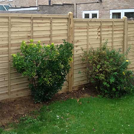 Lapped garden fencing